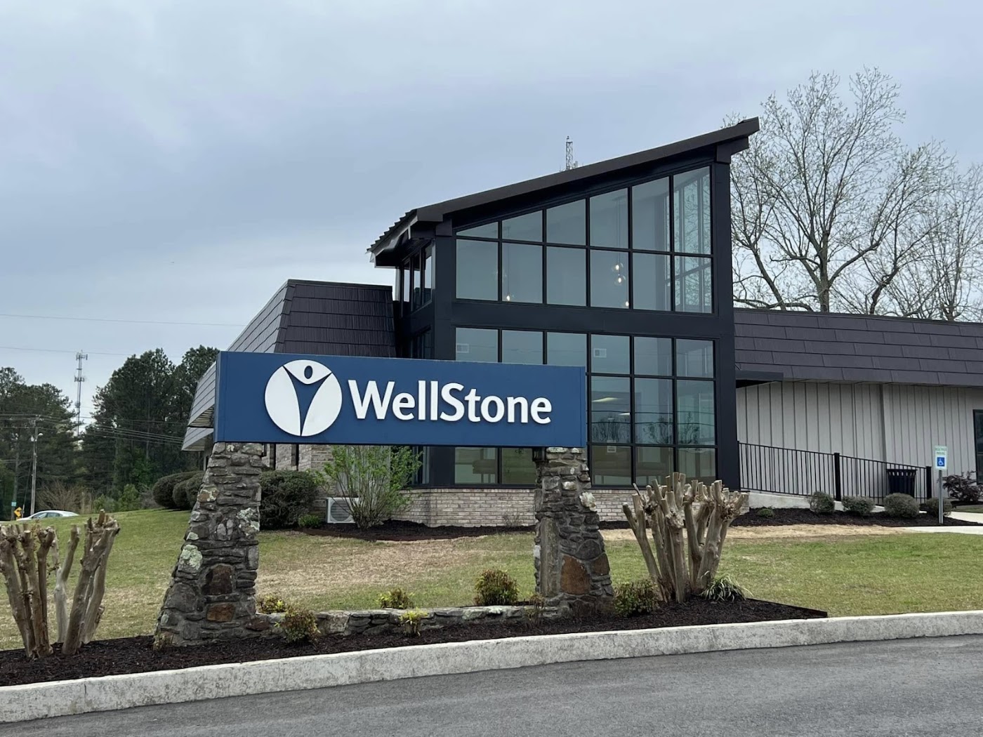 Wellstone, Inc.